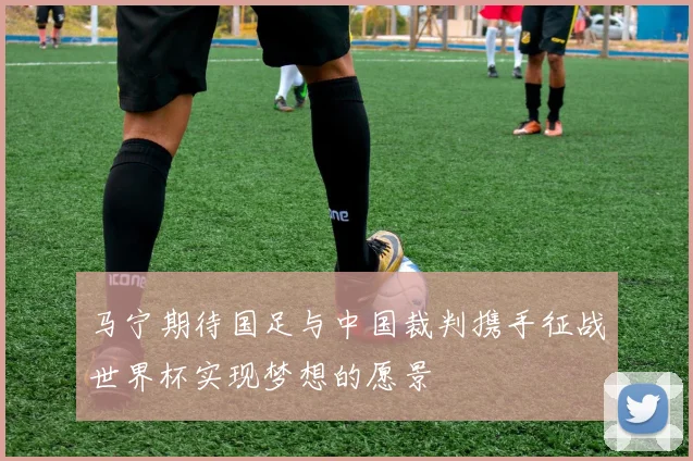 马宁期待国足与中国裁判携手征战世界杯实现梦想的愿景